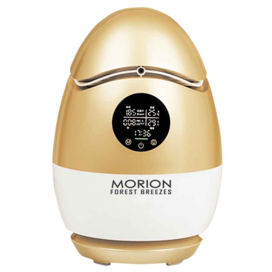 Morion-Gold