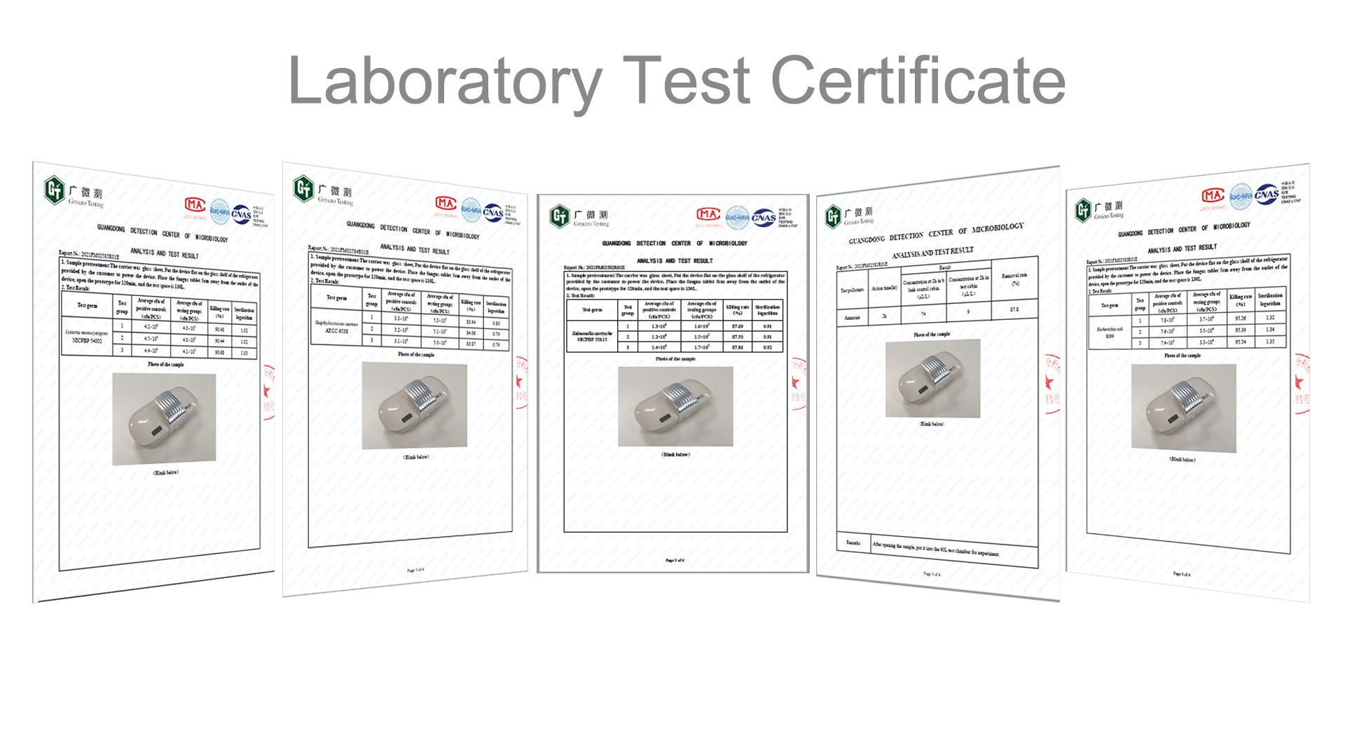 Test Reports